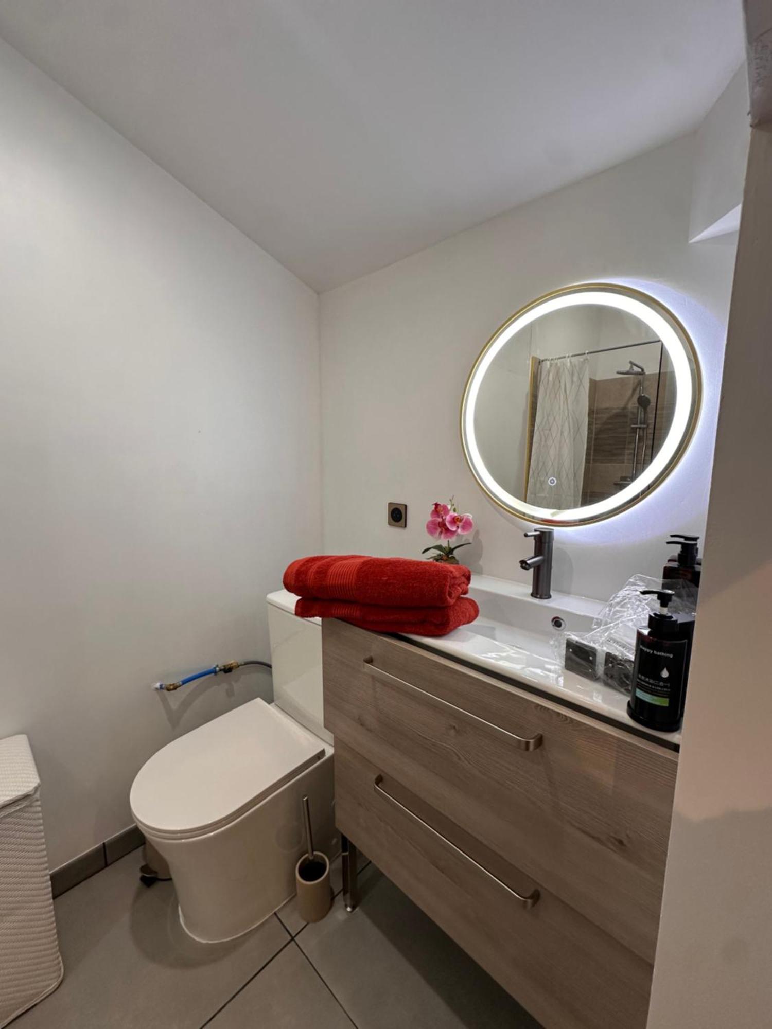 Les Appartements Du Palais Καρκασόν Εξωτερικό φωτογραφία